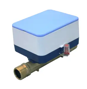 Customized High Precision Ultrasonic Intelligent Digital Water Meter Water Flowmeter Lorawan