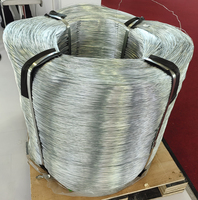 Alambre de Hierro Galvanizado Resistente a la Corrosión para Uso en Construcción y Ataduras