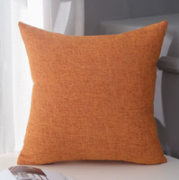 Coussin de canapé personnalisé avec logo, coussin décoratif doux, housse de coussin carrée pour la maison et la chambre