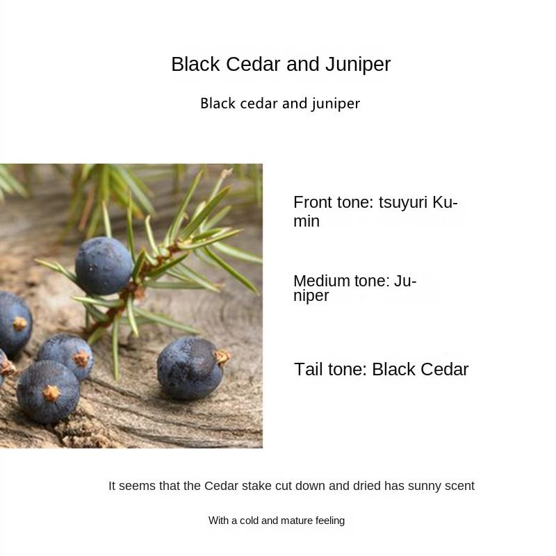 ต้นซีดาร์สีดำและจูนิเปอร์