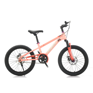 Fourche avant personnalisable à absorption des chocs pour <span class=keywords><strong>VTT</strong></span> enfant (garçon/fille) à vitesse unique en acier haute teneur en carbone pour la conduite en extérieur - Product Image 3