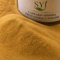 Poudre d'extrait de graines de Camellia Sinensis 20:1 - Extrait végétal naturel de saponine de thé, qualité alimentaire