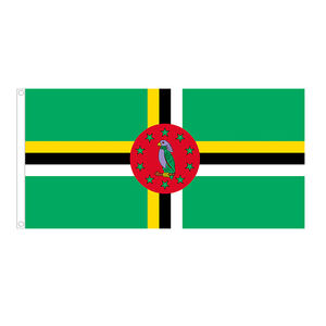 Drapeau de pays 2022 Qutar <span class=keywords><strong>en</strong></span> Polyester fait de 3x5 pieds drapeaux dominaux, équateur, egypte, El Salvador, guinée équitaire - Product Image 1