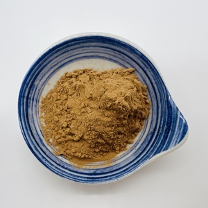 Extracto de <span class=keywords><strong>Hongo</strong></span> Porcini (<span class=keywords><strong>Boletus</strong></span> Edulis) en Polvo, Grado Alimenticio, Extracción por Solvente, Polisacárido 40%, Envasado al Vacío en Tambor - Product Image 2