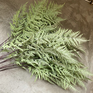 Feuilles artificielles d'Alpinia Odorata Queyiyi, blanches et vertes, 30cm-100cm, pour décoration de mariage, plantes murales pour salon et maison - Product Image 4