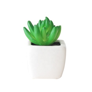 A-3063 Vaso in Ceramica con <span class=keywords><strong>Piante</strong></span> Succulente <span class=keywords><strong>Artificiali</strong></span> per Decorazione d'Interni - Product Image 2