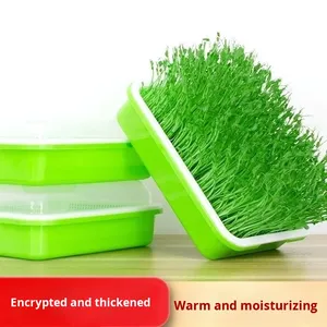Plateaux de pépinière en plastique ménager robustes couvercles pour <span class=keywords><strong>balcon</strong></span> plateau de semis de plantation sans sol pour germes de soja légumes autres - Product Image 3