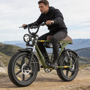 Bicicleta Eléctrica de Montaña de 48V con Llantas Gruesas de 20 Pulgadas para Adultos RX-T10 1, Motor Potente y Gran Autonomía, Equipada con un Motor de 750W - Product Image 1