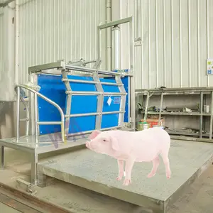 Mezbaha makineleri fiyat domuz Abattoir çarpıcı kutu için saatte 100 domuz kesim