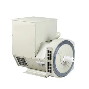 Alternator Brushless 25kva Generator Diesel 30kva Alternator dengan AVR/