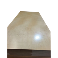 Planches de plancher en contreplaqué de peuplier à âme en bois dur marin moderne de 28 mm pour appartement, qualité première classe certifiée pour usage intérieur