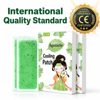 Patch Rafraîchissant en Gros pour Soulager la Chaleur Estivale – Plâtre Herbal Menthe Agastache à Effet Rafraîchissant Physique – Vente Directe Usine OEM ODM