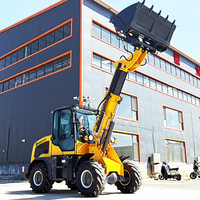 China Günstiger Landwirtschafts-Teleskoplader Mit Hubarm Landwirtschaftlicher Teleskopauslegerlader Teleskoplader-Maschine