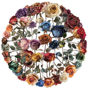 50 Stück PET wasserdicht transparent unfading getrocknete Rose Blumen aufkleber personal isierte Cartoon-Stil Cartoon-Aufkleber - Product Image 2