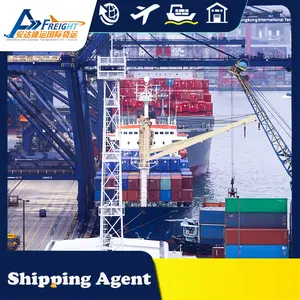 Sea Shipping Freight Forwarder From China To The Whole World Usa Canada Australia Europe