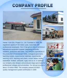 Canggih otomatis cardiopulmoner <span class=keywords><strong>resuscitation</strong></span> (CPR) Simulasi latihan bantuan pertama manusia model dummy respirasi buatan - Product Image 5