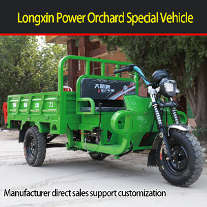 Three-Wheel Agricultural Freight Motorcycle Closed Body with Canopy Pull Load King for Passenger Use <b>Gasoline</b> Power - Product Image 3