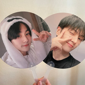 Wholesale Custom Printed PVC Animal Style Transparent Idol Fan Kpop Cheering Plastic Crafts Picket