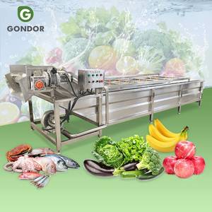Máquina Portátil Pequeña para Lavar y Limpiar Vegetales y Frutas con Hojas, Equipo Granular para Línea de Procesamiento de Vegetales - Product Image 1