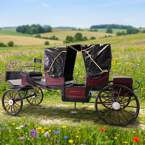 Carruaje de Boda Eléctrico Clásico de Alta Calidad, Modelo Princesa Real, 2026, el Más Vendido, con Caballos, Precio de Fábrica - Product Image 1