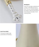 Youth Brass Trumpet High Quality Brass Material Musical Instrument Charge Trumpet Factory Direct Ready Stock