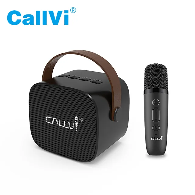 Музыкальный плеер Callvi W2, усилитель, мини BT портативный караоке-динамик с беспроводным ручным микрофоном