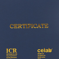 A3 A4 lettre taille pu cuir logo personnalisé défilement mariage école papier degré velours fichier dossier titulaire du certificat diplôme couverture