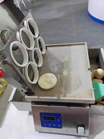 Machine Commerciale Électrique à Œufs sur le Plat et Omelettes pour Restaurants et Hôtels – Friteuse à Œufs