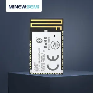 MinewSemi נורדי nRF52810 נמוך במיוחד כוח Bluetooth 5.0 מודול MS50SFB1