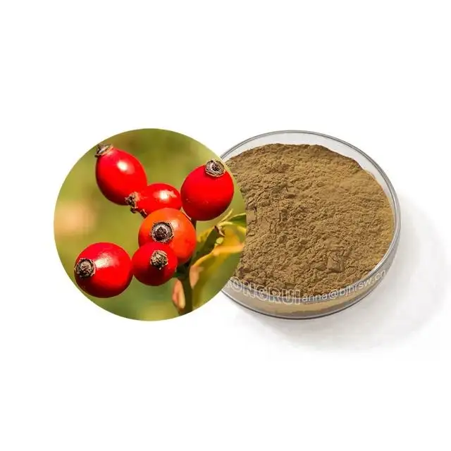 Anti-Aging Natural Rose Hip Extract