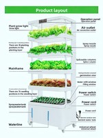 Système de culture hydroponique verticale intelligent pour légumes, culture hors-sol, multi-niveaux, pour usage domestique, pour semis et jeunes pousses