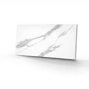 Worldwave International: Soluciones Premium en Cerámica y Porcelana, Formatos Completos de 300x450mm, 200x600mm y 300x600mm - Product Image 1