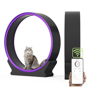 2023 Neue WIFI Cat Toys Circular Track Familie Interaktives Laufband für Haustiere Laufräder Cat Crawl Racks Cat Laufband Popularität