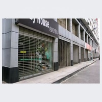 Porte à enroulement professionnelle en aluminium ajouré sur mesure avec fonction antivol pour usage extérieur, centres commerciaux et entrepôts