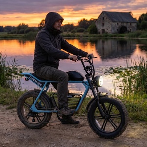 Bicicleta Eléctrica con Llantas Gruesas de Color Verde Personalizado, con Desviador de 7 Velocidades, Bicicleta para Recorridos Rurales y Exploración de Pueblos - Product Image 5