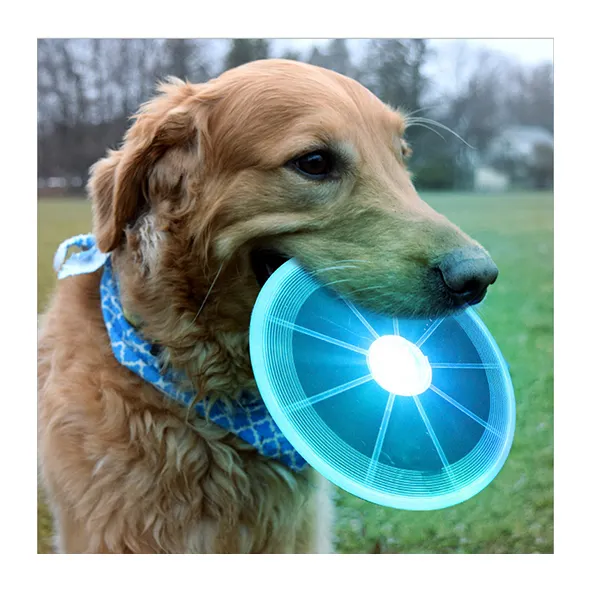 Brinquedo interativo com luz led, disco para cachorro com luz led