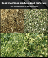 Nouvelle machine à ensilage manuelle de 3 tonnes/h, mini-hacheuse à herbe, haute productivité, pour alimentation animale, Henan