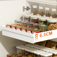 DAYOOH Étagère coulissante extensible pour armoire de cuisine, tiroir de rangement en plastique robuste pour épices
