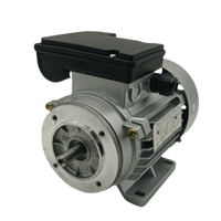 Moteur AC personnalisé YY7114 Série YY7124 YY7134 180W-370W 220V Monophasé 1400 tr/min 50Hz B3/B5/B14/B34 Moteur industriel