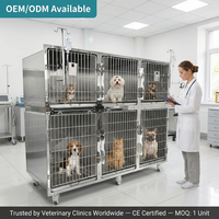 Cage pour chien premium en acier inoxydable dotée d'une construction durable et d'un espace confortable pour les animaux pour des soins améliorés