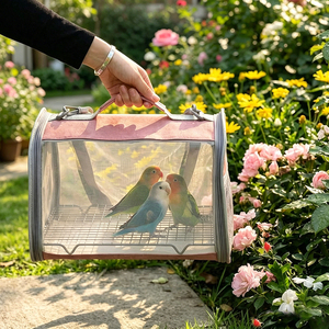 Breathable Pet Carrier <b>Backpack</b> for Lizard Hamster Parrots Guinea Pig <b>Small</b> Animals Outdoor Travel Pet Carrier <b>Backpack</b> Handbag - Product Image 5