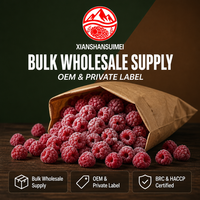 Premium IQF Diepvries Frambozen, hele rode bessen, bulk diepvriesfruit voor retailers