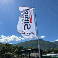 Drapeau de plage volant en gros, bannière promotionnelle, support de drapeau plume haut, publicité commerciale, restaurants, matériau polyester Sachi