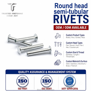 Remache de Acero Semitubular de Cabeza Redonda Personalizado TianFang, Galvanizado en <span class=keywords><strong>Zinc</strong></span>, Fijación Automotriz, Certificado IATF16949, Herraje de Alta Resistencia - Product Image 1
