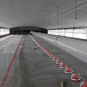 Sistema de línea de alimentación y bebida simple para granja de pollos de engorde para bebedores de animales - Product Image 1