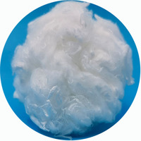 Fibre de polyester blanche brute pour le rembourrage
