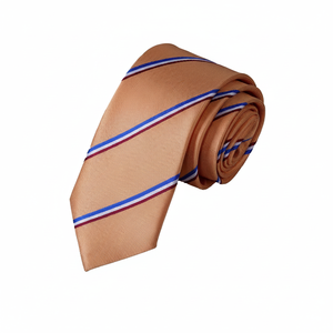 Cravate drapeau hollandais rayé orange bleu blanc rouge Accessoires pour hommes - Product Image 2