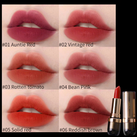 Rouge à lèvres mat vegan, imperméable, longue tenue, maquillage des lèvres, rouge à lèvres liquide crème rouge, haute pigmentation, beauté