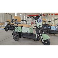 Tricycle électrique pour passagers, moteur sans balais 600W/800W, 2 places, 3 roues, pliable, ouvert, batterie 48V, usage adulte, véhicule de tourisme