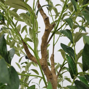 Offerta Speciale: Albero di Ulivo Artificiale <span class=keywords><strong>da</strong></span> 6ft/5ft per Decorazione Casa e <span class=keywords><strong>Giardino</strong></span> - Product Image 4